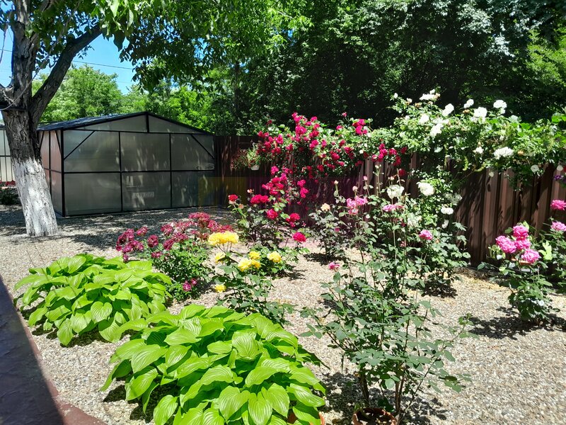 VANZARE CASA 5 CAM P+1 IN SAT MOVILITA (IL)