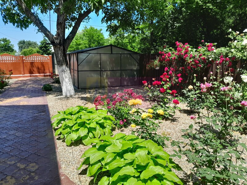 VANZARE CASA 5 CAM P+1 IN SAT MOVILITA (IL)