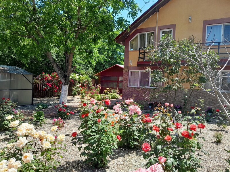 VANZARE CASA 5 CAM P+1 IN SAT MOVILITA (IL)