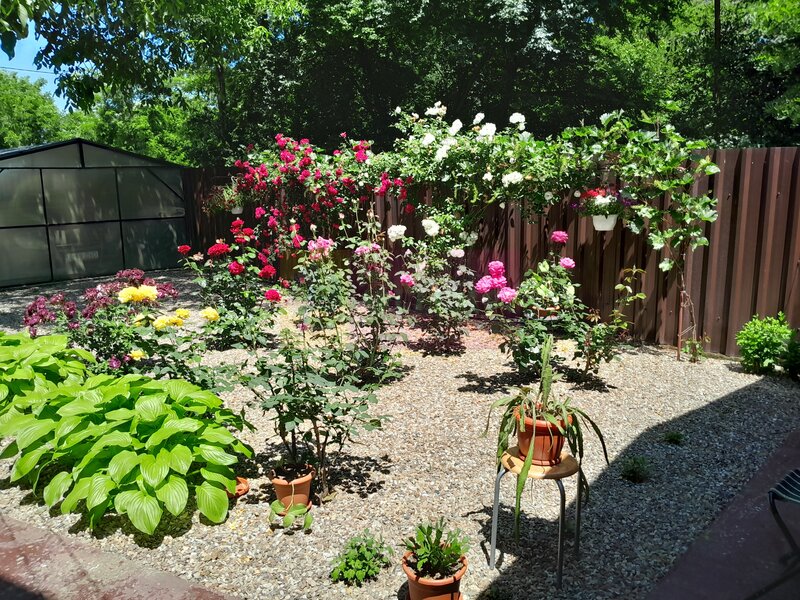 VANZARE CASA 5 CAM P+1 IN SAT MOVILITA (IL)